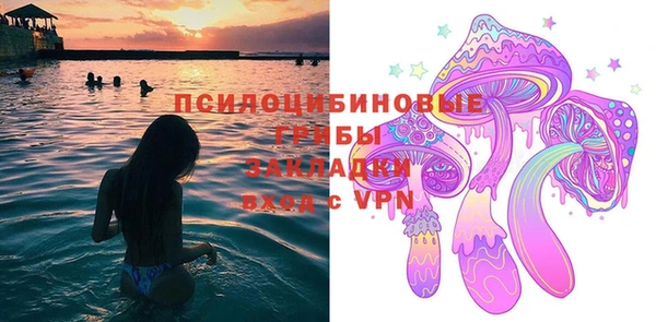 дурь Алексеевка
