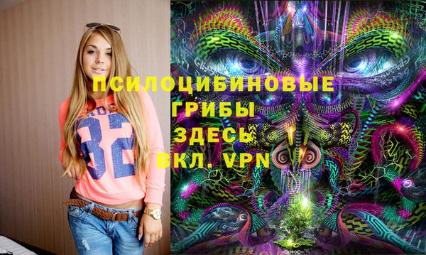 ГАЛЛЮЦИНОГЕННЫЕ ГРИБЫ Алексин