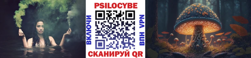 Купить где  Сланцы  Псилоцибиновые грибы GOLDEN TEACHER 