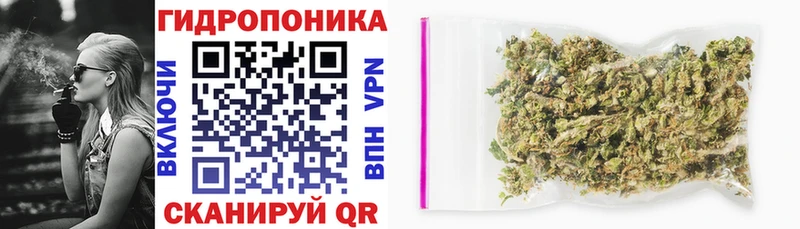 Канабис сатива  Купить  Сланцы 